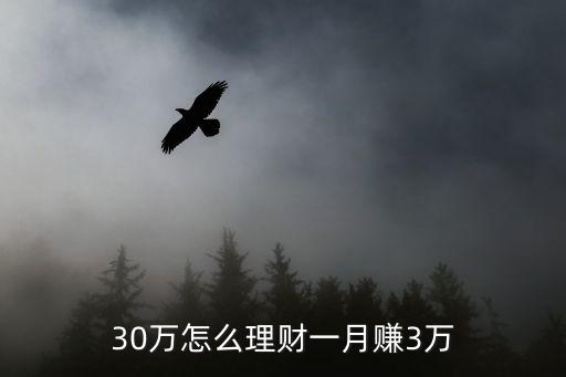 30萬怎么理財一月賺3萬，30萬怎么理財收益最大