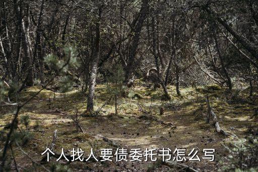 個(gè)人找人要債委托書怎么寫
