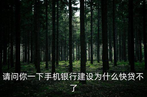 建行快貸怎么突然沒了，建設(shè)銀行快貸突然沒額度怎么回事之前是有額度的從來沒貸過