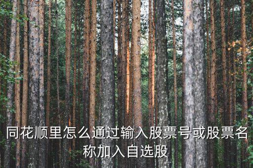 同花順里怎么通過輸入股票號(hào)或股票名稱加入自選股