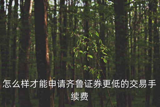怎么樣才能申請(qǐng)齊魯證券更低的交易手續(xù)費(fèi)