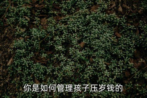 你是如何管理孩子壓歲錢(qián)的