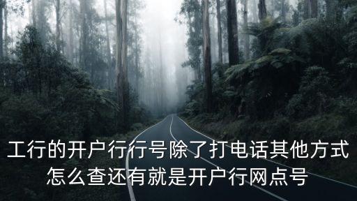 工行的開戶行行號(hào)除了打電話其他方式怎么查還有就是開戶行網(wǎng)點(diǎn)號(hào)