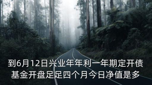 到6月12日興業(yè)年年利一年期定開債基金開盤足足四個(gè)月今日凈值是多