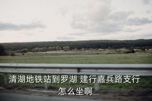 清湖地鐵站到羅湖 建行嘉兵路支行 怎么坐啊