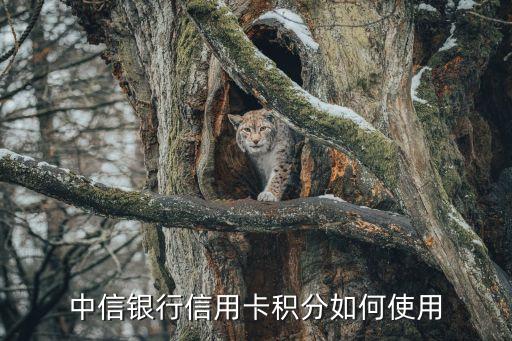 中信銀行信用卡積分如何使用