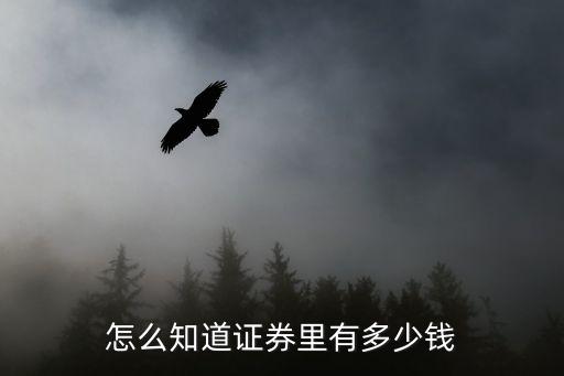 怎么看股票里多少錢，如何查股票里還有多少錢