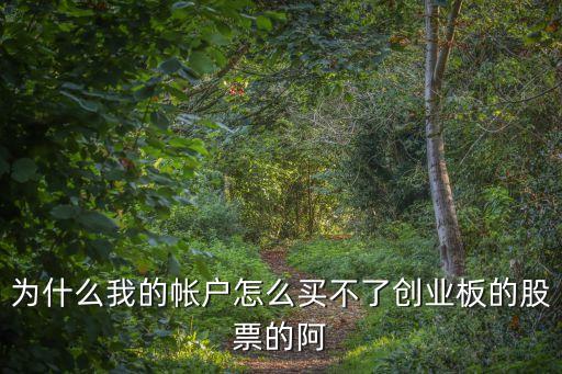 怎么買不了創(chuàng)業(yè)板，為什么我的帳戶怎么買不了創(chuàng)業(yè)板的股票的阿