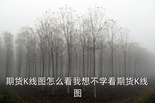 期貨K線圖怎么看我想不學(xué)看期貨K線圖