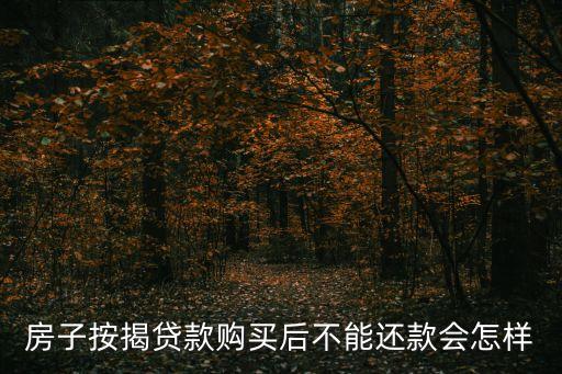 房貸按揭不還會怎么樣，房子按揭貸款購買后不能還款會怎樣