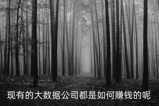 怎么賺大數(shù)據(jù)的錢，現(xiàn)有的大數(shù)據(jù)公司都是如何賺錢的呢