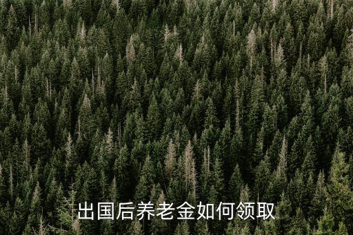 出國(guó)后養(yǎng)老金如何領(lǐng)取
