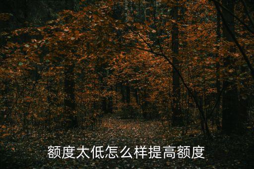 額度太低怎么樣提高額度