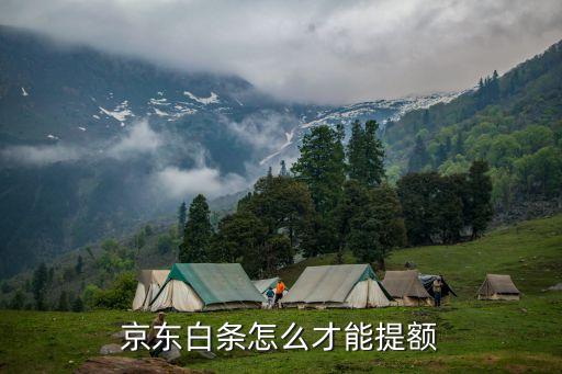 京東金融怎么提升白條額度，京東白條怎么才能提額