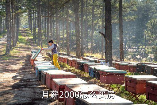女人月入兩千該怎么買房，月薪2000怎么買房