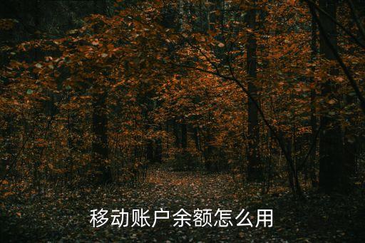 余額賬戶功能怎么使用，帳戶余額這么使用