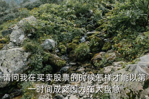請問我在買賣股票的時候怎樣才能以第一時間成交因為在大盤急