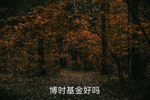 博時基金好嗎