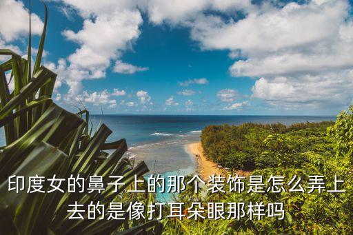 印度女的鼻子上的那個(gè)裝飾是怎么弄上去的是像打耳朵眼那樣嗎