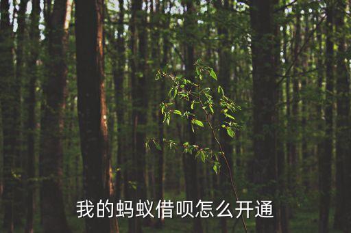 我的螞蟻借唄怎么開通