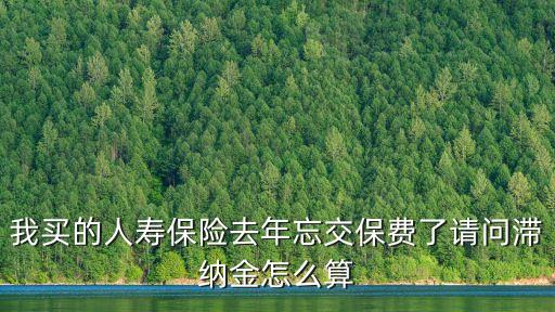 我買的人壽保險去年忘交保費了請問滯納金怎么算