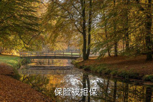 保險被拒保