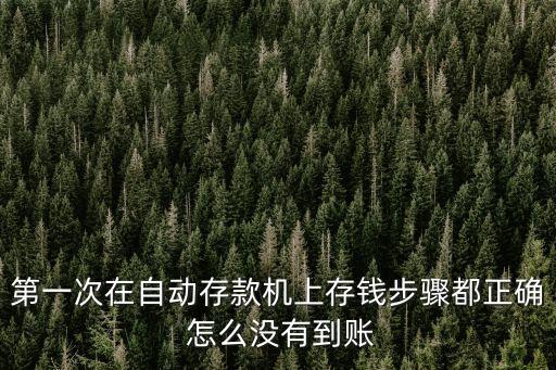 第一次在自動存款機(jī)上存錢步驟都正確 怎么沒有到賬