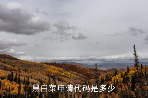 黑白菜申請代碼是多少