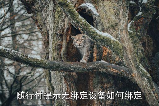 隨行付提示無(wú)綁定設(shè)備如何綁定
