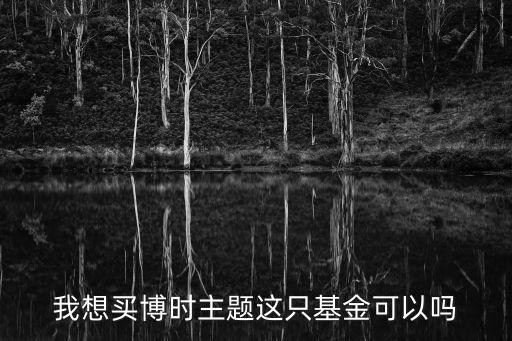 我想買博時主題這只基金可以嗎