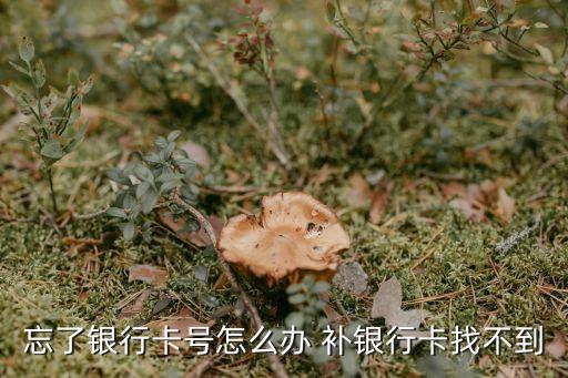 忘了銀行卡號(hào)怎么辦 補(bǔ)銀行卡找不到