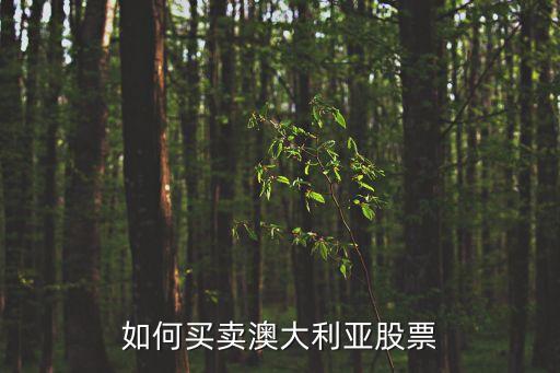 澳股怎么買(mǎi)，如何買(mǎi)賣(mài)澳大利亞股票