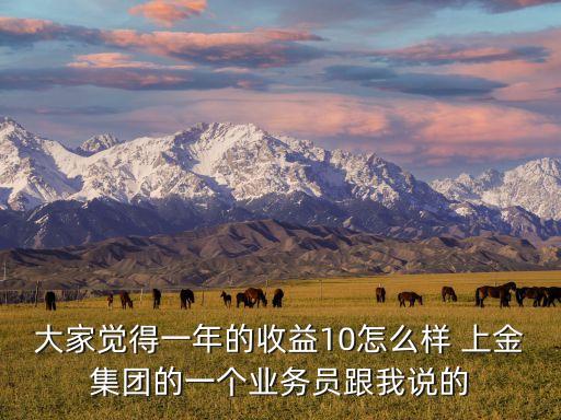 大家覺得一年的收益10怎么樣 上金集團(tuán)的一個(gè)業(yè)務(wù)員跟我說的