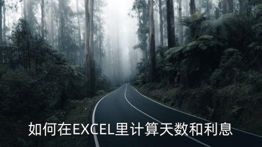 如何在EXCEL里計(jì)算天數(shù)和利息