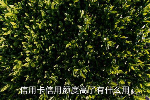 信用卡信用額度高了有什么用