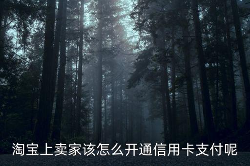 淘寶上賣(mài)家該怎么開(kāi)通信用卡支付呢