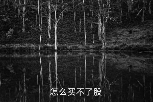 股票我買了怎么買不到，為什么新發(fā)行的股票我買不到