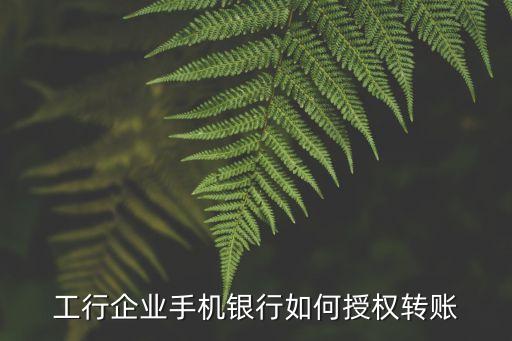 怎么對(duì)手機(jī)網(wǎng)銀授權(quán)，江蘇銀行企業(yè)手機(jī)銀行怎么授權(quán)登錄