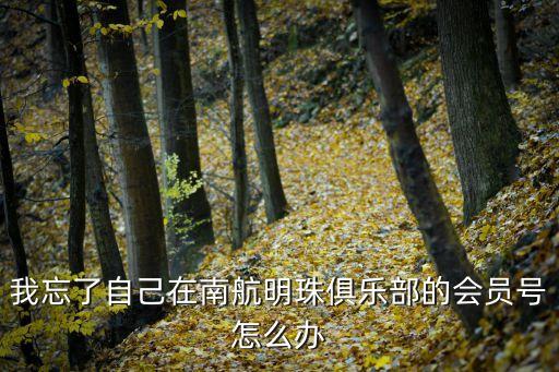 南航明珠會員號查不到怎么辦，我忘了自己在南航明珠俱樂部的會員號怎么辦