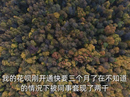 花唄套現(xiàn)怎么解封，我的花唄剛開通快要三個(gè)月了在不知道的情況下被同事套現(xiàn)了兩千