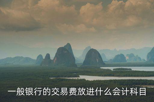 一般銀行的交易費放進什么會計科目