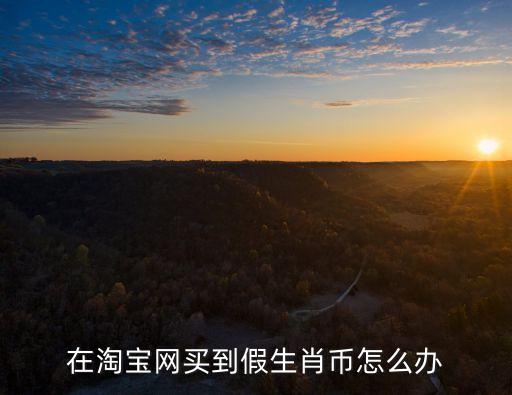 網購錢幣假的怎么辦，在淘寶網買到假生肖幣怎么辦