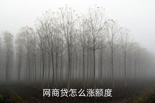 網(wǎng)商貸怎么提額，網(wǎng)商貸的額度怎么提升
