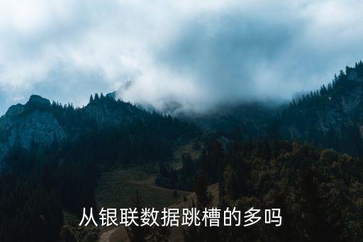 銀聯(lián)數(shù)據(jù)待遇怎么樣，中國(guó)銀聯(lián)待遇怎么樣