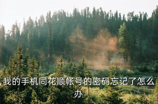 同花順轉(zhuǎn)賬秘密忘記怎么辦，我的轉(zhuǎn)賬密碼忘了怎么找回