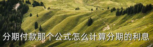 分期付款那個(gè)公式怎么計(jì)算分期的利息