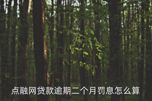 點融網(wǎng)利息怎么算，點融網(wǎng)貸款逾期二個月罰息怎么算