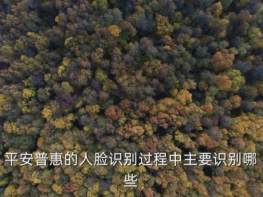 平安普惠人臉識別怎么才能成功，平安普惠人臉識別怎么才能成功