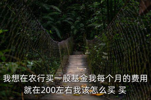 我想在農(nóng)行買一股基金我每個(gè)月的費(fèi)用就在200左右我該怎么買 買