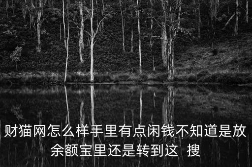 財貓網(wǎng)怎么樣手里有點(diǎn)閑錢不知道是放余額寶里還是轉(zhuǎn)到這  搜